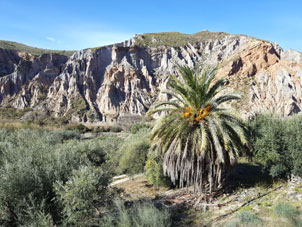 Puerto de La Ragua