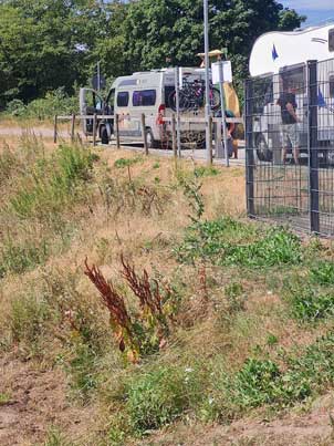 Wohnmobilstellplatz Gengenbach 