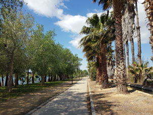 Radweg  Cami natural de Tortosa-Deltebre